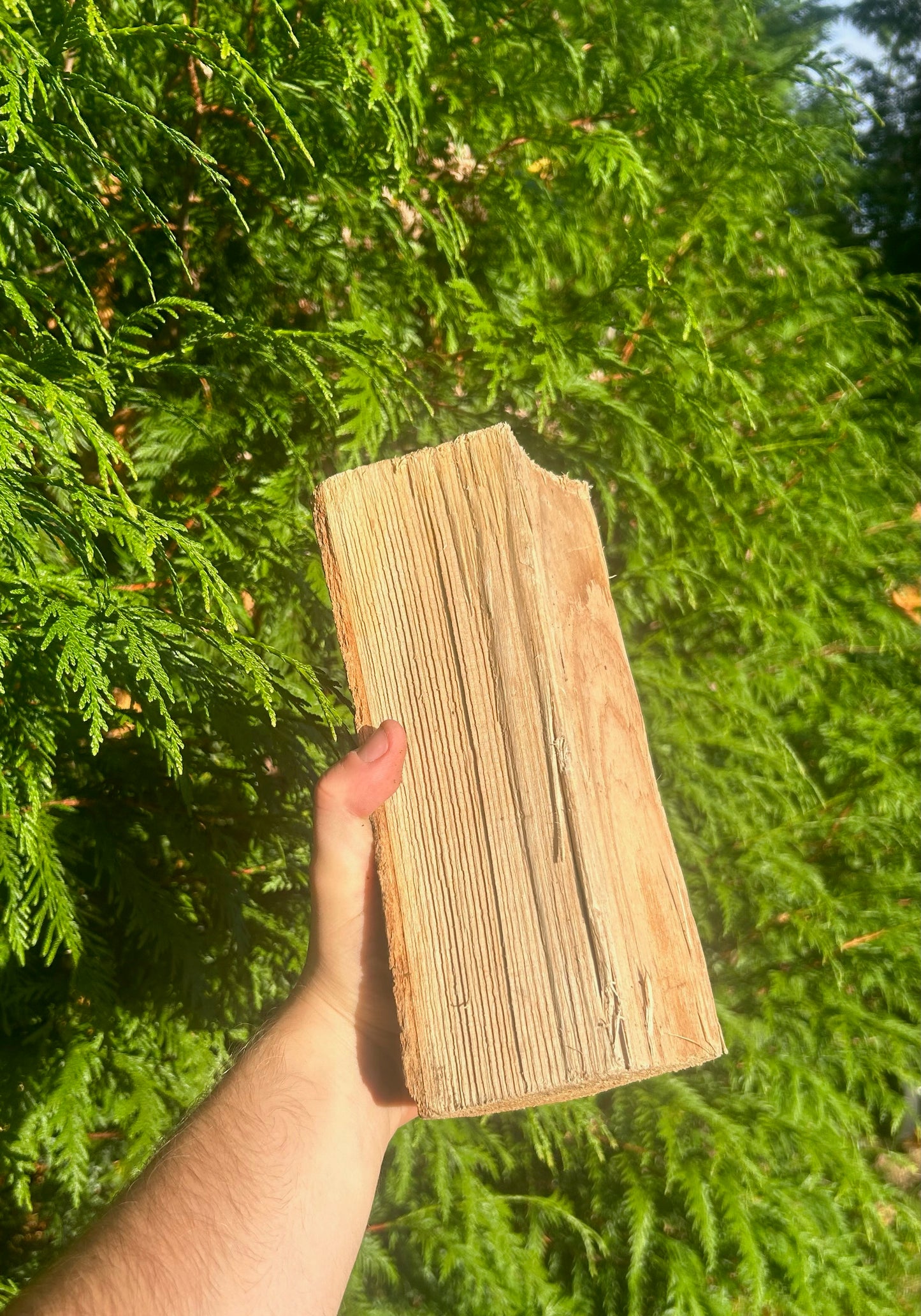 Kiln Dried Sealed Bag