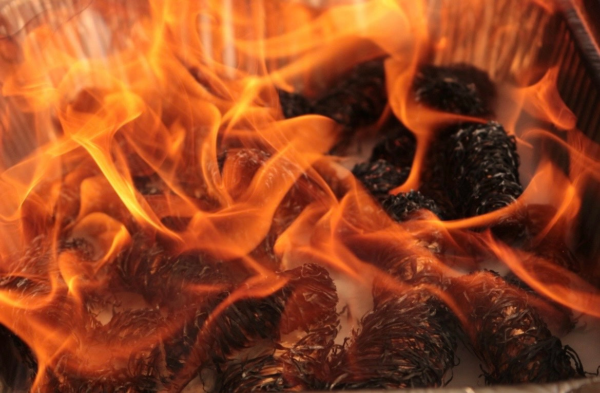 Wood Wool Firelighters FSC® Certified in a box